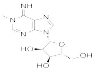1-Methyladenosine (m1 A) ELISA Kit(图1)
