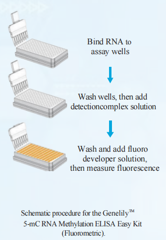 5-mC RNA Methylation ELISA Easy Kit(图3)