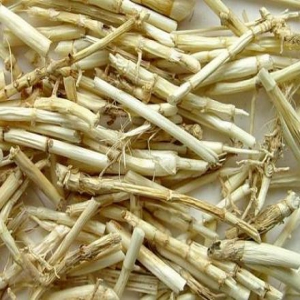 白茅根外囊泡