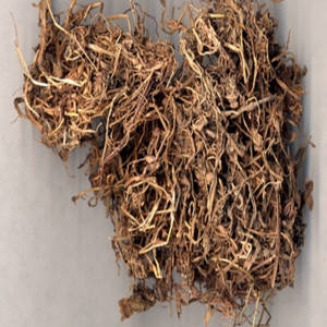 半边莲外囊泡