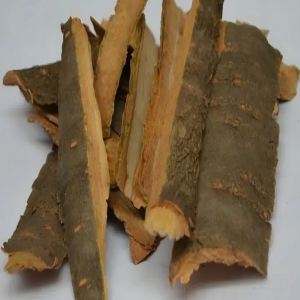 暴马子皮外囊泡