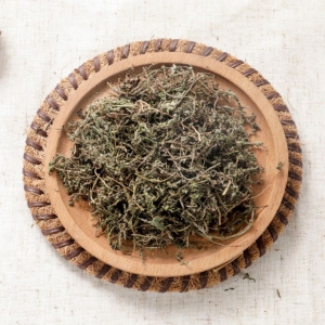 鹅不食草外囊泡