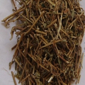 飞扬草外囊泡