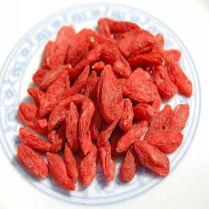 枸杞子外囊泡