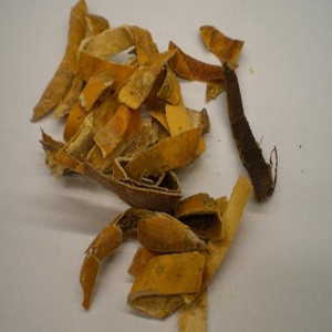 瓜蒌皮外囊泡