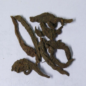 红大戟外囊泡