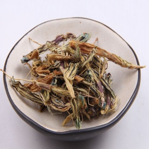 红花龙胆外囊泡