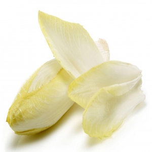 菊苣外囊泡