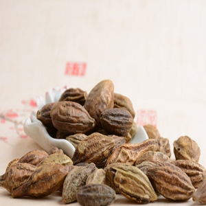 毛诃子外囊泡
