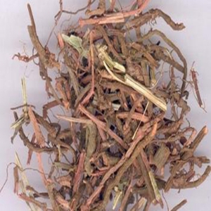 茜草外囊泡