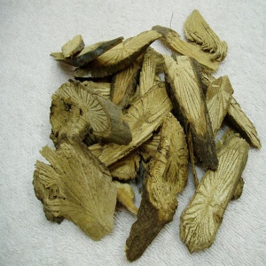 青风藤外囊泡