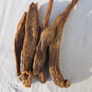 肉苁蓉外囊泡