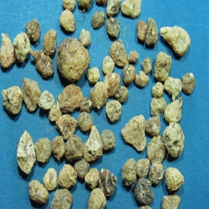 山慈菇外囊泡