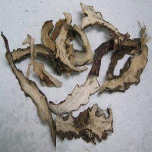 石菖蒲外囊泡