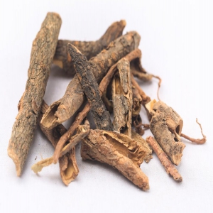 香加皮外囊泡