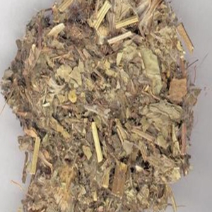小蓟外囊泡