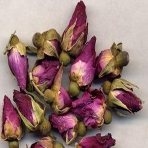 月季花外囊泡