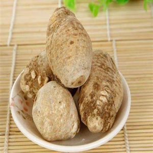 泽泻外囊泡