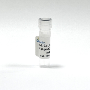 Anti-L-Lactyl-Histone H4 (Lys12) Rabbit mAb